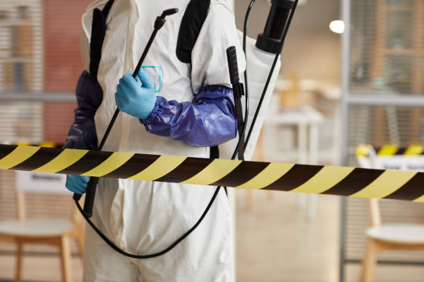 Professional Hoarding Cleanup technician working in Waimea, HI